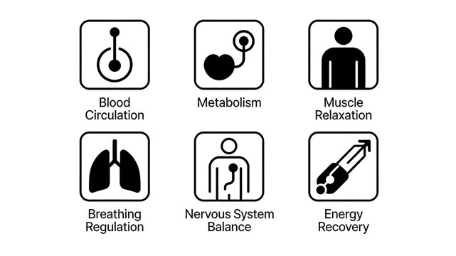 Presenting concepts of blood circulation, metabolism, neural balance, and energy recovery, representing basic life support, fatigue relief, and daily health preservation.
