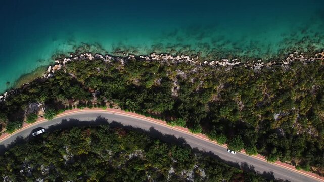 Aerial view coastal road turquoise water, winding shoreline flanked by dense pine vegetation and scattered houses, sunlit surface with gentle waves, tranquil mood ideal for travel, leisure, scenic