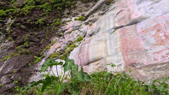 Pictographs on rocky cliff showcasing red patterns surrounded by lush green foliage.
