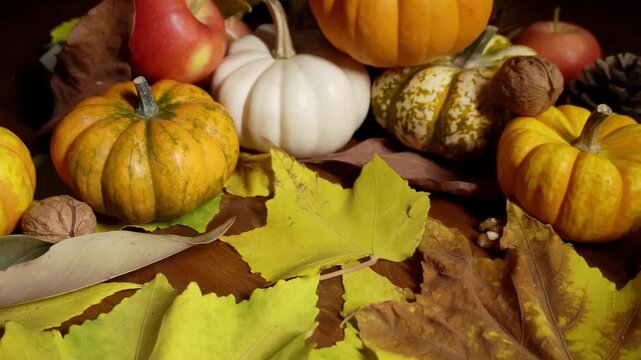 Autumn decor display. Seasonal arrangement with pumpkins and leaves. Autumn themed ornament display with colorful foliage. Showcase of fall decorations featuring pumpkins gourds and bright foliage