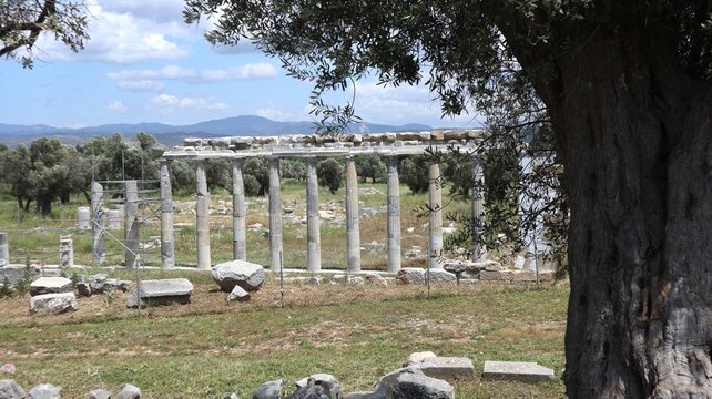 The ancient Temple of Dionysus in Teos, an ancient Greek city in western Turkey. A row of columns has been reconstructed.
