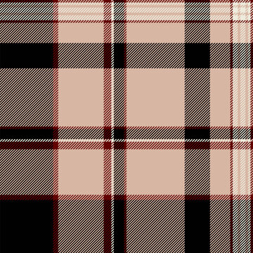 Book plaid texture check, nobility seamless background textile. Idyllic pattern vector fabric tartan in light and black colors.