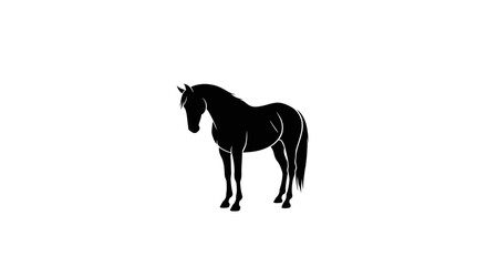 Fototapeta premium Elegant black horse silhouette on white background for design