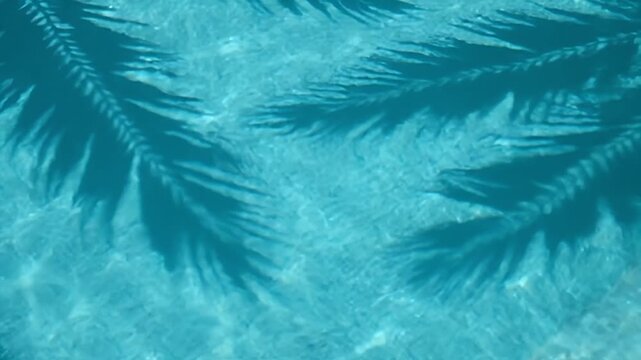 Dark palm leaf shadows cast on the rippling turquoise blue water of a sunny pool