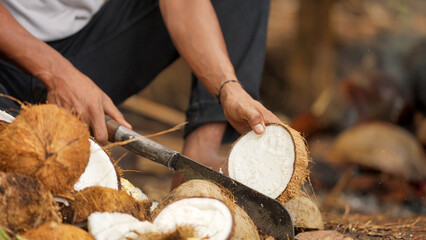 Farmer splitting coconut in half with machete for copra production in rural farm on flores island, indonesia, southeast asia © Spice Footage