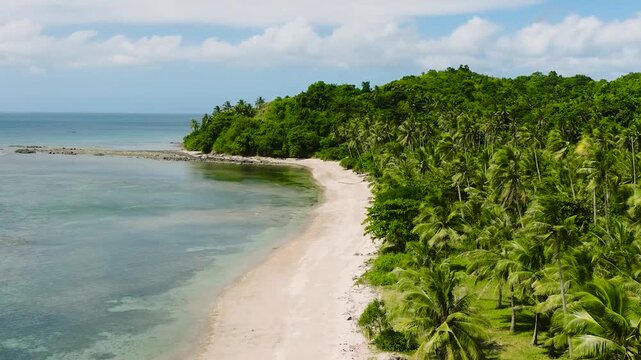 Tropical beach with coconut trees and and ocean waves on white sand. Santa Fe, Tablas, Romblon. Philippines.
