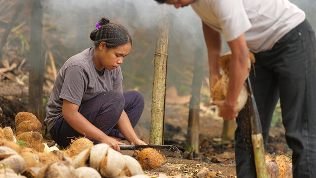 Young indonesian woman farmer opening coconut with machete to make copra on farm on flores island, indonesia, husks on the ground