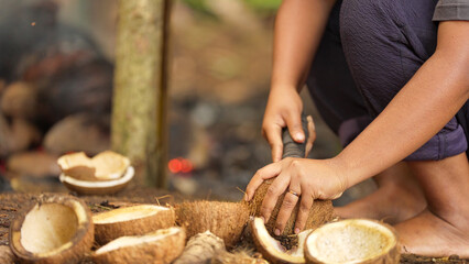 farmer removing dried coconut kernels or copra using traditional tool on farm on flores island, indonesia, southeast asia © Spice Footage