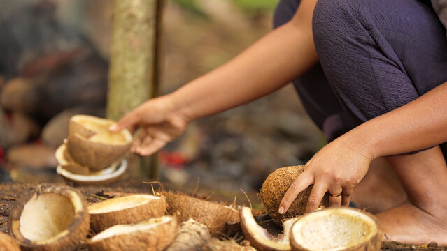 Farmer making copra from coconut on farm on flores island, indonesia