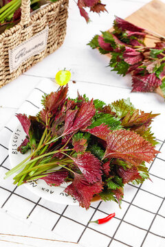 Fresh Red Perilla Leaves Still Life Studio Photography with Wicker Basket