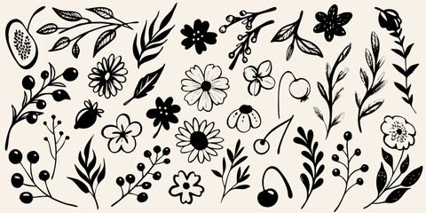 Hand drawn black and white floral collection with leaves and berries botanical illustration © Mitali