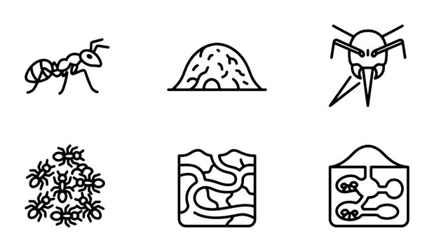 Ant Colony Icons, Insect Life Cycle Vector Graphics, Entomology Science Symbols, Black and White Line Art