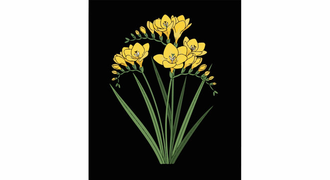 A simple illustration of yellow freesia flowers with long green leaves