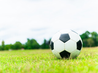 Fototapeta premium A football placed on the grass field of a football stadium. 2026 World Cup. Soccer sports, activity outdoors
