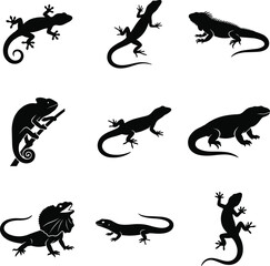 Obraz premium Black silhouette illustrations of diverse lizard species including gecko, iguana, chameleon, and frilled lizard, showcasing anatomy, poses, and reptile design
