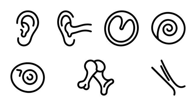 Human Ear Anatomy Icons, Auditory System Vector Graphics, Medical Science Symbols