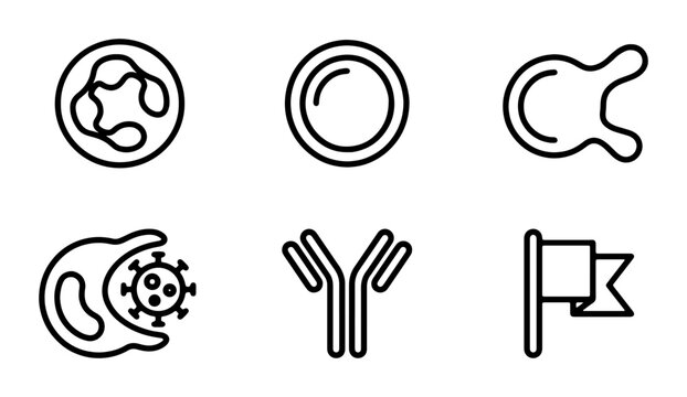 Immune System Icons: Antibody, White Blood Cells, Virus Attack, Flag - Medical Vector Set