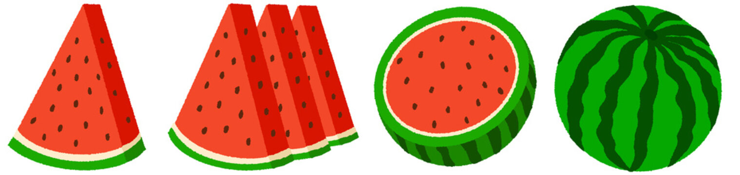watermelon illustration