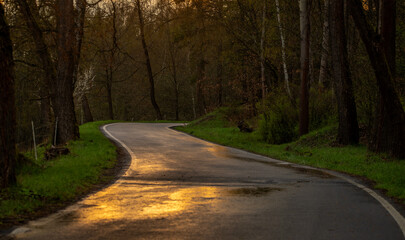 Obraz premium Asphalt wet road after rain with sunset evening colors in west Bohemia mountains