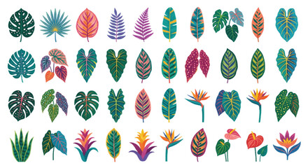 Tropical leaves collection, 40 colorful exotic plant icons in flat vector style, vibrant jungle foliage set for summer patterns and botanical design © Muhammad