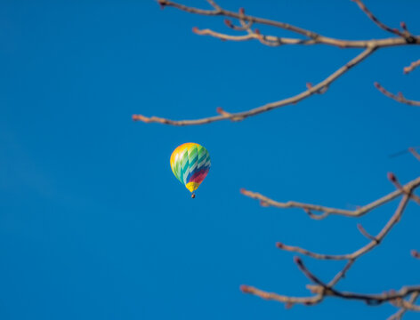 Mongolfiera colorata nel cielo blu incorniciata da rami