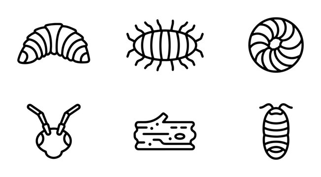 Insect Icons Set, Vector Graphics Collection, Bug Illustrations, Arthropod Symbols, Entomology Icons