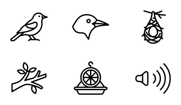 Bird Icons Set: Avian Life, Nest, Feeder, Branch, Sound Wave, Vector Graphics