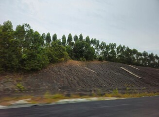 landscape with road 5Overcast sky looms above green embankment. Palm trees line the hillside behind a concrete barrier. Roadside sign warns of a sharp bend ahead © yulia11