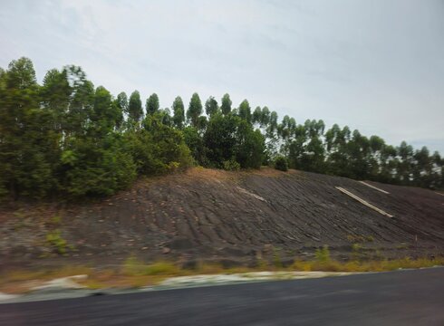 landscape with road 5Overcast sky looms above green embankment. Palm trees line the hillside behind a concrete barrier. Roadside sign warns of a sharp bend ahead
