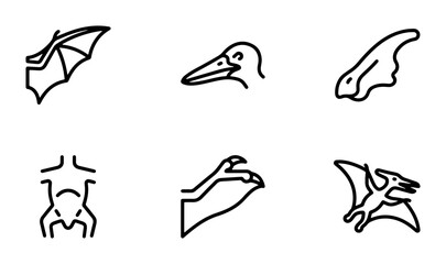 Pterodactyl Icons, Dinosaur Fossils, Prehistoric Flying Reptile Vector Set © Md