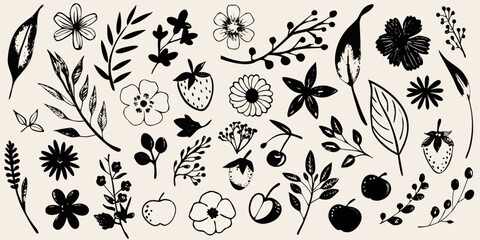 hand drawn black and white floral collection with leaves berries and flowers © Tarun