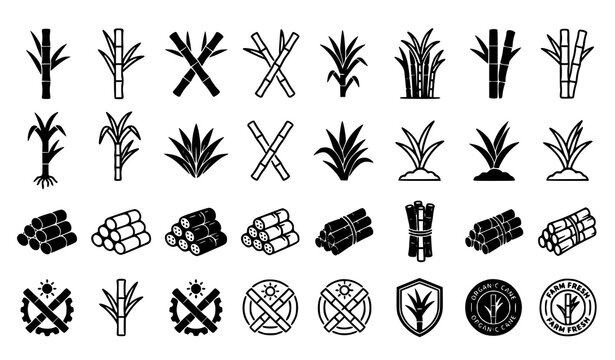 Sugarcane Plant Growth Stages and Farming Symbol Collection Vector