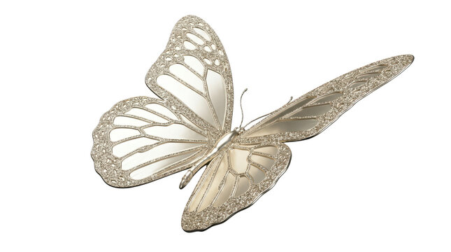 Elegant silver butterfly png nature display detailed insect art high fidelity close-up view rwr gigapixel