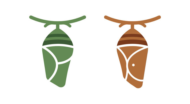 Flat Vector Illustration of Butterfly Chrysalis or Pupa Icons Set