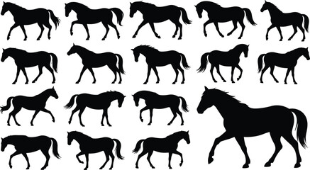 Fototapeta premium Horse Silhouette Collection Featuring Running Walking and Grazing Equine Poses Isolated on White Background