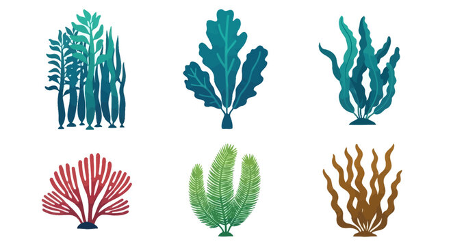 Diverse Underwater Seaweed and Coral Collection - Aquatic Plant Illustrations
