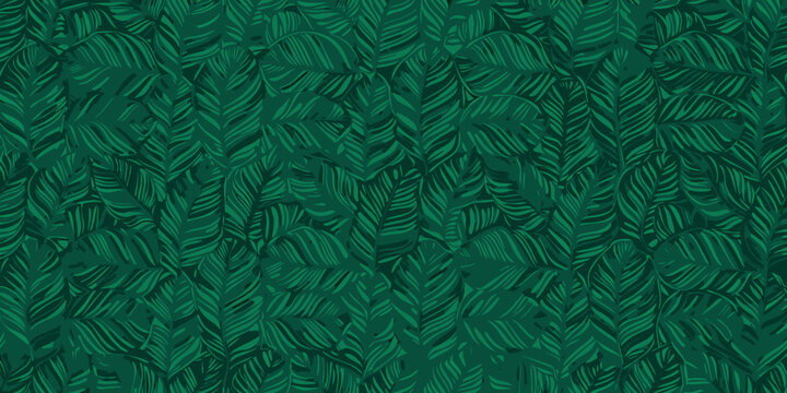 seamless repeating pattern of tropical leaves in dark green botanical illustration