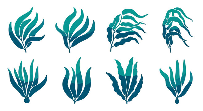 Set of stylized underwater seaweed and kelp illustrations in shades of blue and green