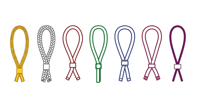 Collection of colorful braided cords and ropes with loops and knots, isolated on white background