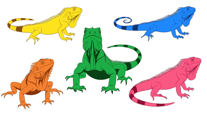 Colorful Set of Five Decorative Iguana Illustrations