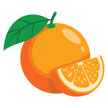 Citrus reticulata mandarin orange whole fruit and slice in flat vector style isolated on white background. Ideal for tropical fruit package design concepts.