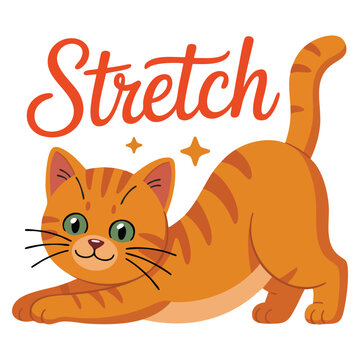 Cute flat sticker of cat stretch flexibility pose. Vector illustration suitable for pet lovers and playful animal themed graphics.
