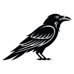 Obraz premium Detailed black raven silhouette in standing pose with sharp beak and feathers. Represents mystery, dark beauty, and nature themed artwork.