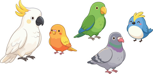 Cute Cartoon Pet Bird Vector Set Featuring Cockatoo, Parrot, Budgie, Pigeon, and Bluebird Characters for Children Educational Media Designs © Garun Creative