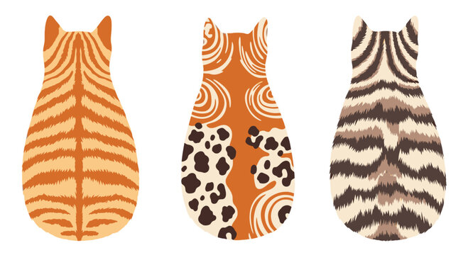 Abstract Cat Backs: Tiger, Leopard, Zebra Patterns in Orange and Brown