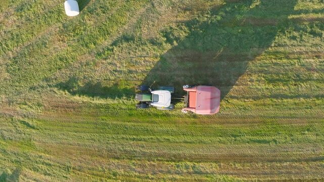 Top-down aerial view of a tractor using a baler to make round hay bales. Drone shot of agricultural machinery in a field during harvest production.