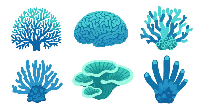 Collection of Blue Corals and Brain Coral, Underwater Life