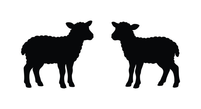Two lambs facing each other a black silhouette against a white background silhouette lamb sheep ovine