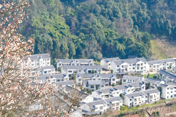 Obraz premium Spring rural pastoral scenery
