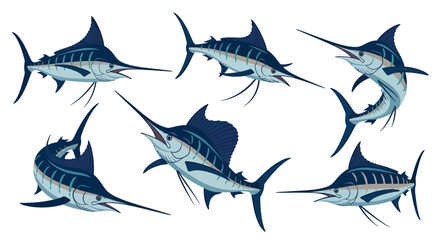 Fototapeta premium Collection of Blue Marlin Fish, Dynamic Poses, Ocean Wildlife Illustration
